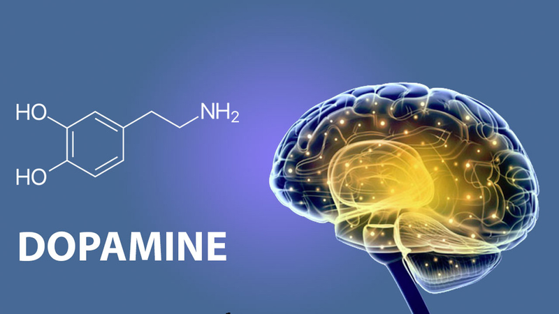 Dopamine là một trong những loại hormone hạnh phúc
