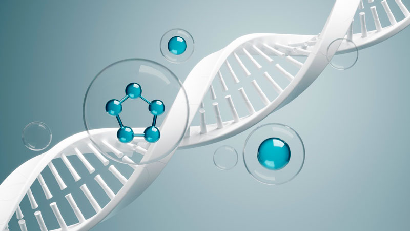 Ung thư khởi phát từ đột biến gen trong DNA của tế bào 