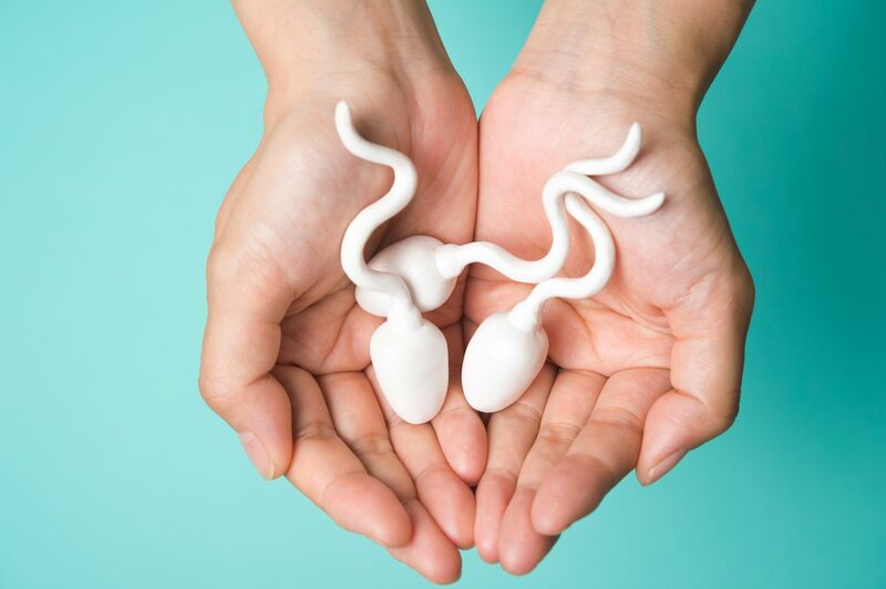 Kê gà tốt cho tinh trùng cũng như sức khỏe sinh lý nam giới