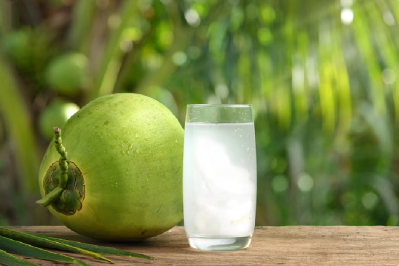 Nước dừa tươi giúp cân bằng điện giải cho cơ thể mẹ bầu
