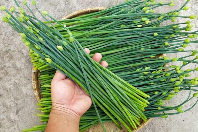 Lá hẹ là loại thực phẩm quen thuộc đối với người Việt