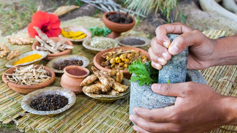 Tuyệt đối không tự ý điều trị cho trẻ bằng các thảo dược hoặc mẹo dân gian 