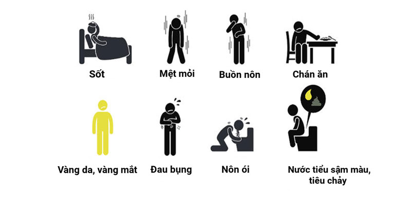 Một số biểu hiện của bệnh viêm gan 