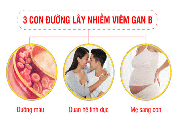 3 con đường lây nhiễm chính của viêm gan B