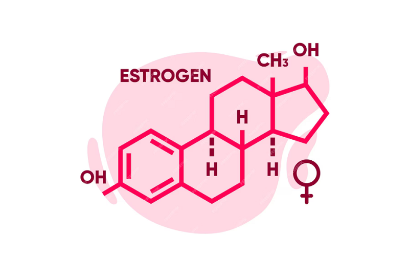Bổ sung estrogen giúp điều trị triệu chứng mãn kinh sớm