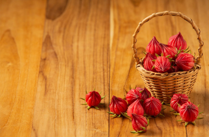 Hoa của cây bụp giấm có màu đỏ đặc trưng