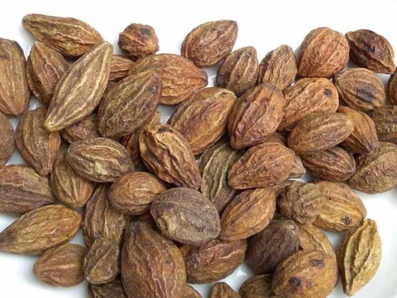 Quả kha tử có vị chát, tính ấm, quy vào kinh phế và đại tràng