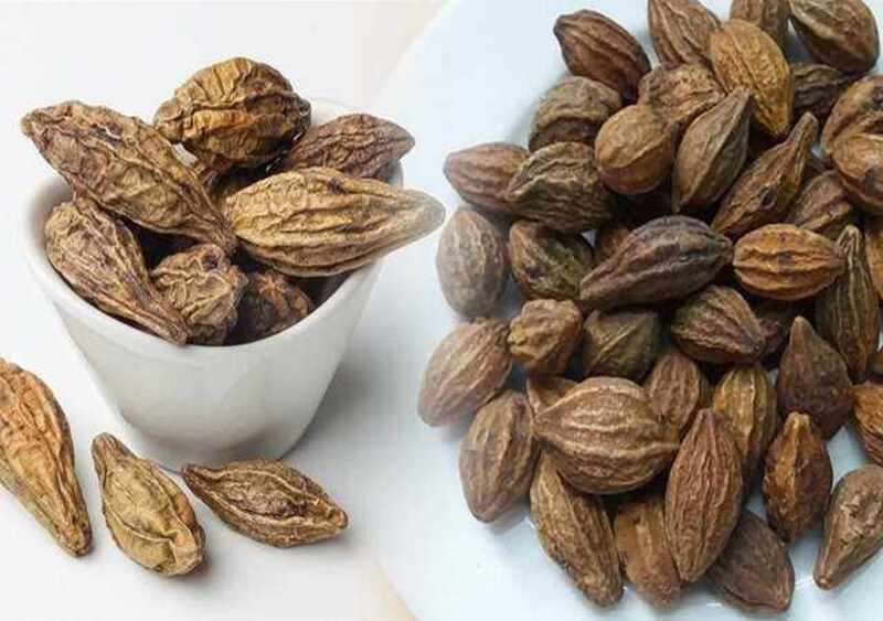 Quả kha tử có thể giúp giảm ho, nhưng chỉ đóng vai trò hỗ trợ chứ không thay thế được thuốc điều trị chuyên biệt