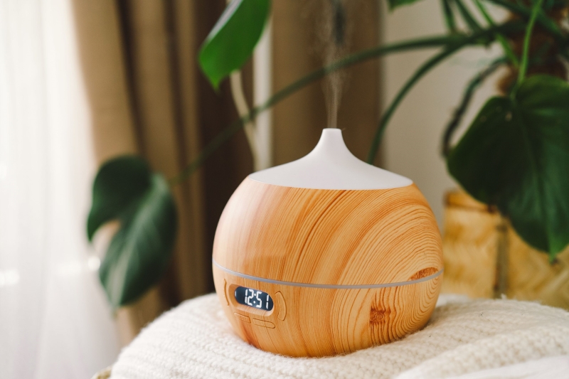 Cha mẹ có thể sử dụng tinh dầu khuynh diệp để xông phòng 