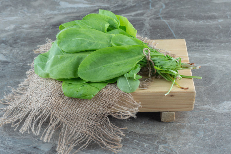 Hàm lượng Biotin trong rau bina tương đối cao