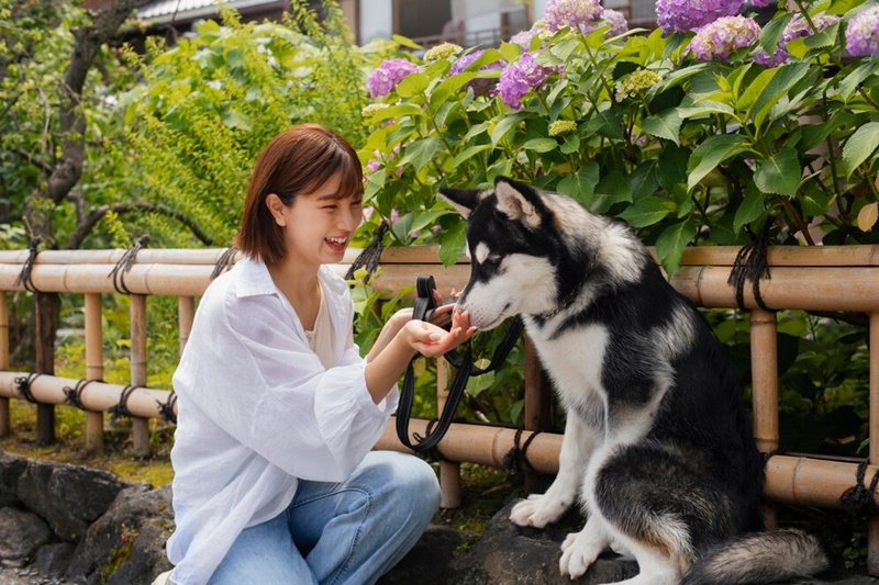 Bạn không nên chủ quan nếu bị chó cắn, dù vết thương không chảy máu 