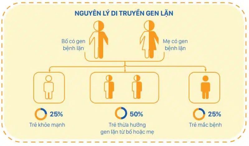 Nguyên lý di truyền gen lặn trên nhiễm sắc thể thường (Nguồn ảnh: Internet) 