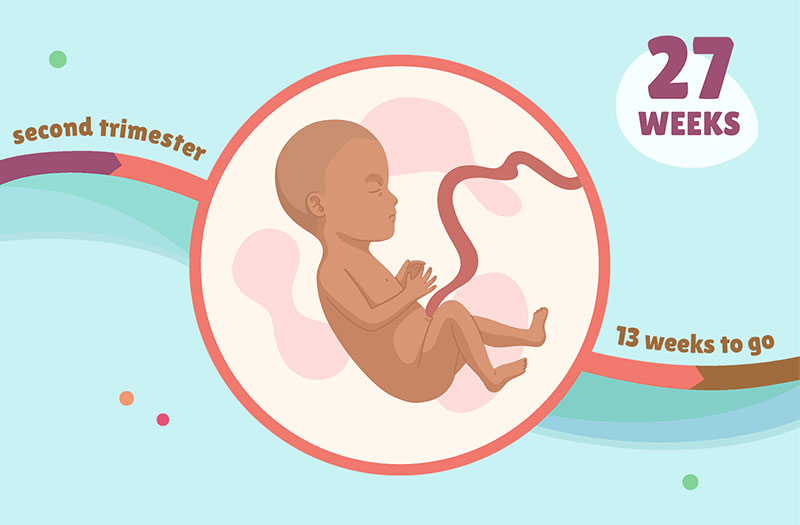Những dấu hiệu phát triển của em bé 27 tuần trong bụng mẹ là gì?