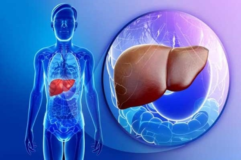 Các triệu chứng của viêm gan C thường diễn biến âm thầm 