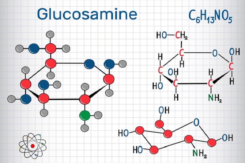 Glucosamine là hoạt chất có mặt trong nhiều dòng sản phẩm hỗ trợ điều trị bệnh lý xương khớp