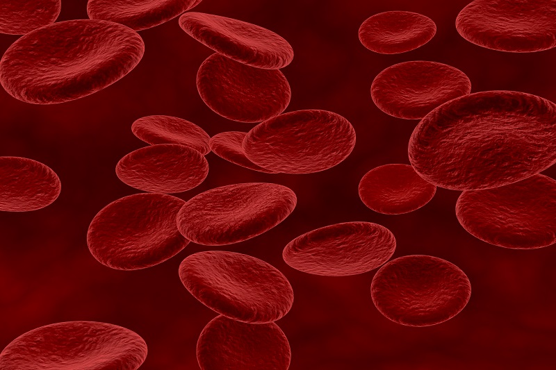 Thalassemia thể nhẹ thường được phát hiện tình cờ qua xét nghiệm máu với kết quả cho thấy hồng cầu nhỏ, nhược sắc.