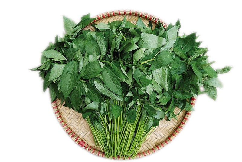 Phụ nữ mang thai không nên ăn rau đay trong 3 tháng đầu của thai kỳ 