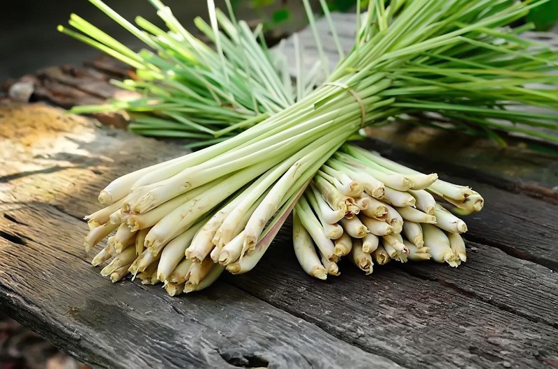 Lá sả giúp làm dịu cơn nghẹt mũi và giảm ho hiệu quả