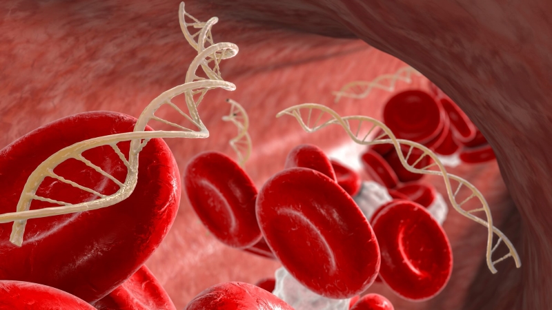 ctDNA trong máu chỉ dấu ung thư sớm ngày càng mang lại nhiều ứng dụng 