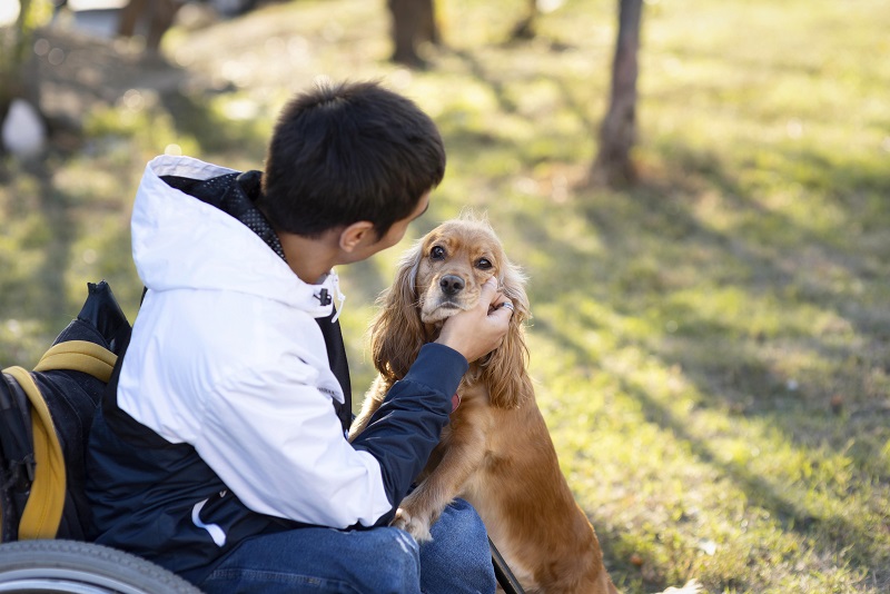 Tiếp xúc với chó mèo có thể bị nhiễm giun đũa Toxocara canis
