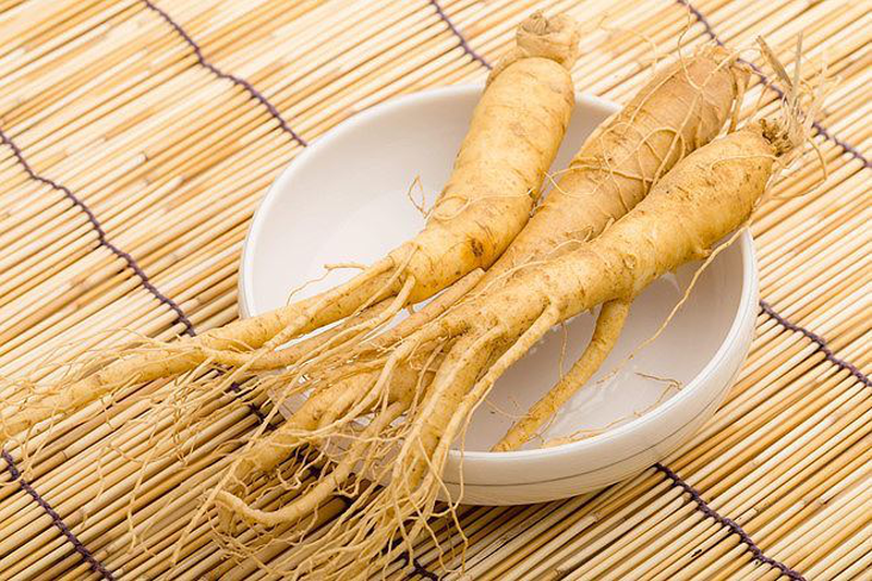 Nhân sâm mang lại nhiều tác dụng trong bồi bổ sức khỏe 