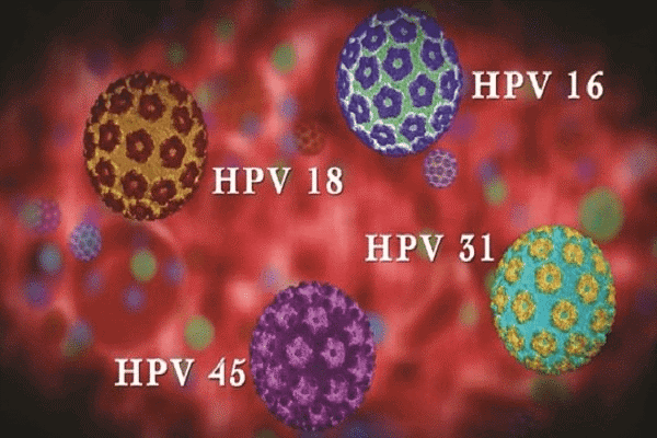  Nguyên nhân gây ra papilloma chủ yếu do virus HPV