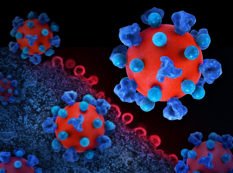 HIV là loại virus tấn công trực tiếp tới hệ miễn dịch của con người 