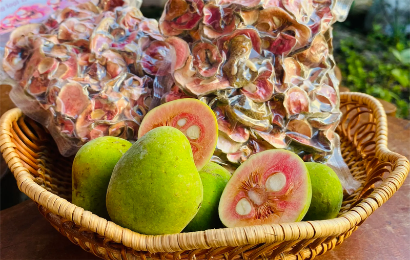 Quả chay có tác dụng hỗ trợ hệ tiêu hóa 