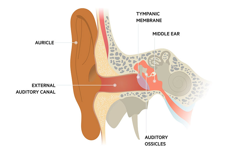 Làm thế nào để chẩn đoán viêm tai ngoài ác tính?
