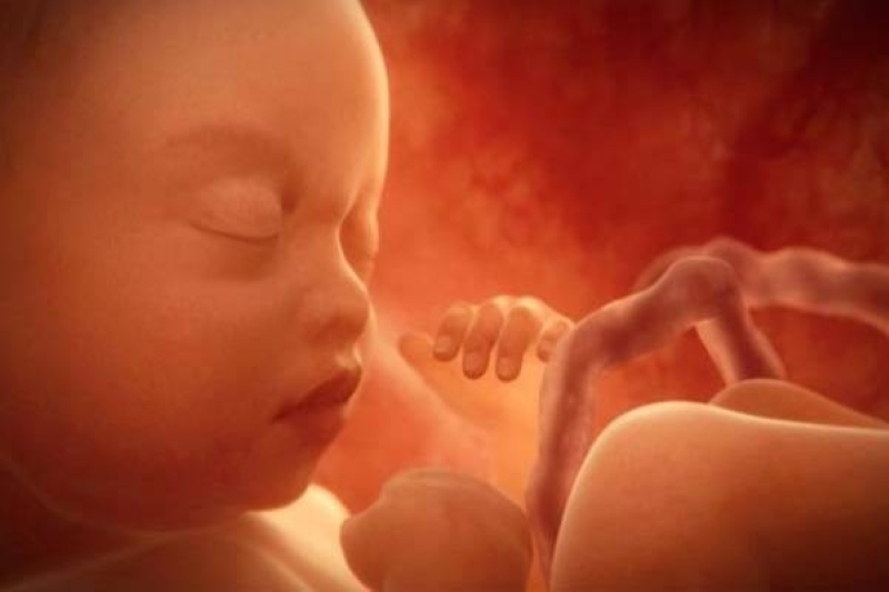 Siêu âm 5D cho ra hình ảnh rõ nét, chất lượng 