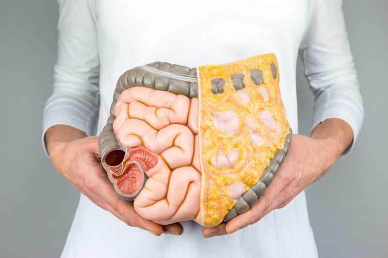 Dị sản ruột là tình trạng các tế bào niêm mạc dạ dày bị biến đổi, chuyển thành kiểu tế bào giống niêm mạc ruột