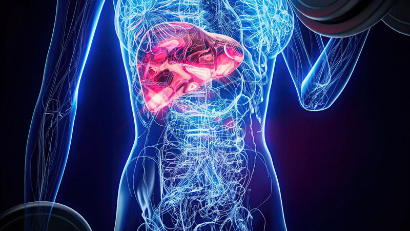 Chỉ số triglyceride tăng cao có thể làm tăng nguy cơ bị gan nhiễm mỡ