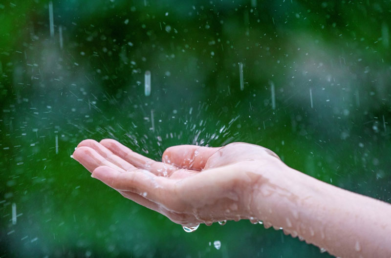 Nước mưa có thể chứa nhiều tạp chất gây dị ứng da