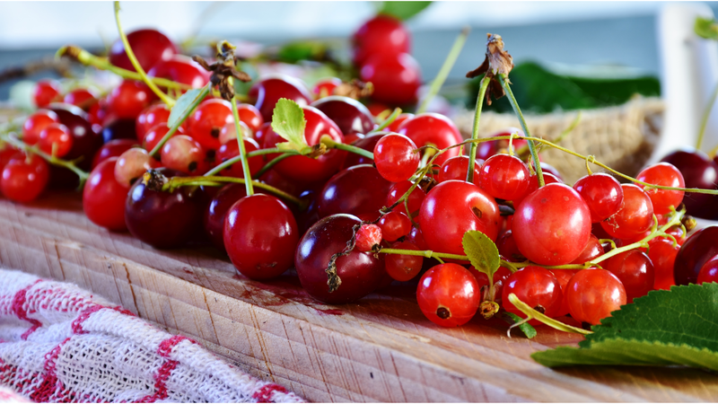 Quả anh đào chứa nhiều vitamin và hợp chất thực vật sinh học 