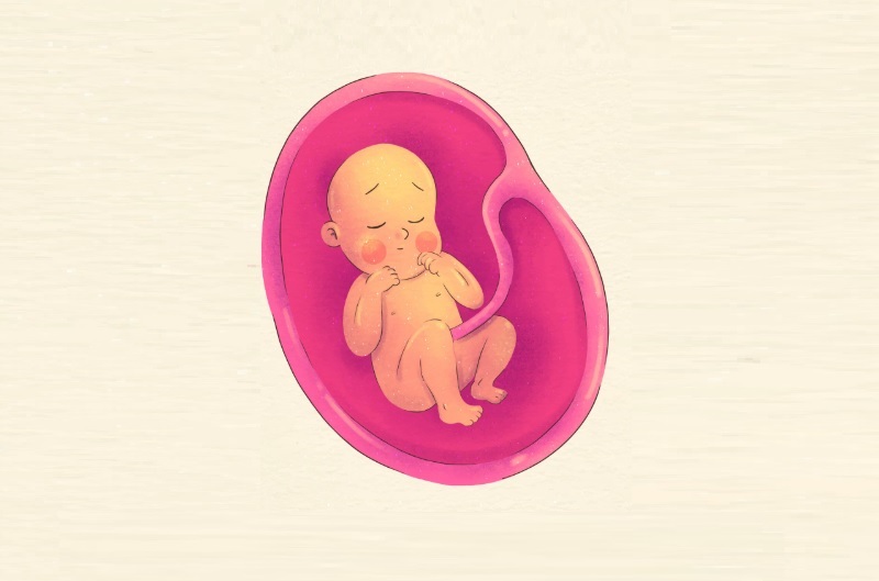 Nước ối là môi trường để thai nhi phát triển an toàn trong bụng mẹ