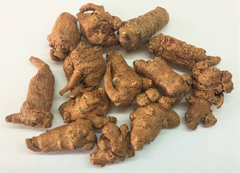 Trong Y học cổ truyền, tam thất thường được sử dụng để hỗ trợ điều trị các bệnh liên quan đến khối u