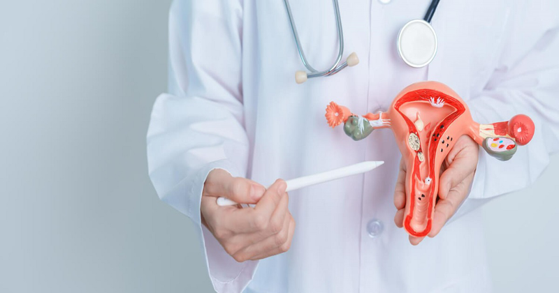 Niêm mạc tử cung không đủ điều kiện là một trong những nguyên nhân lý giải vì sao phôi không bám vào tử cung