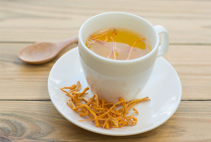 Có nên uống đông trùng hạ thảo thường xuyên không - câu trả lời là không 