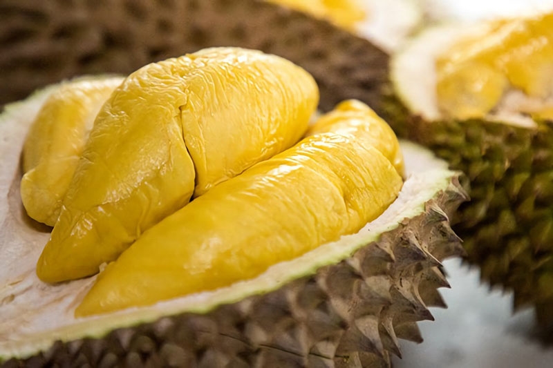 Sầu riêng là một trong những loại quả có tính nóng 