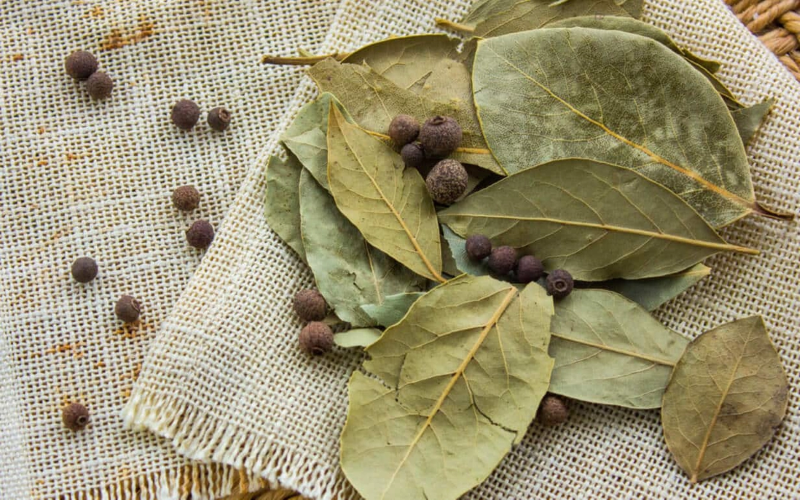 Lá nguyệt quế có khả năng hỗ trợ tiêu hóa, tốt cho tim mạch