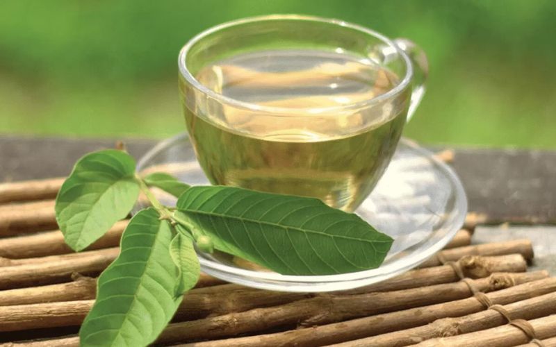 Trà lá ổi mang lại hiệu quả kiểm soát đường huyết