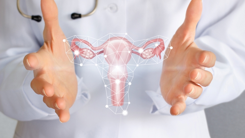 Tình trạng nội mạc tử cung dày có thể là dấu hiệu cảnh báo một số bệnh lý phụ khoa