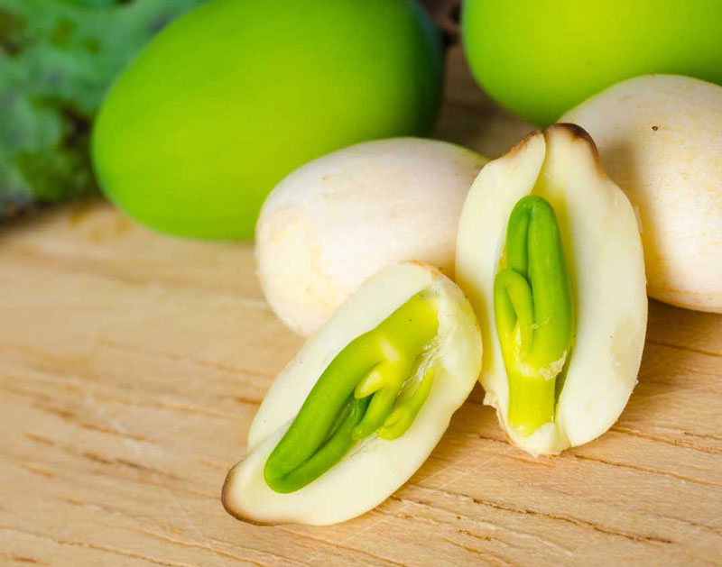 Tâm sen giúp bạn có giấc ngủ ngon hơn