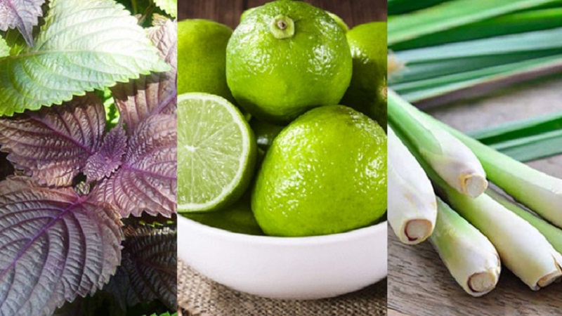 Kết hợp lá tía tô, chanh và xả để xông mặt giúp tăng hiệu quả làm đẹp da