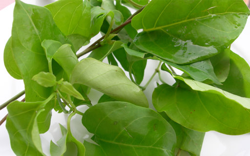 Uzbek bilan seks video Politsiya ayol jinsiy telefon