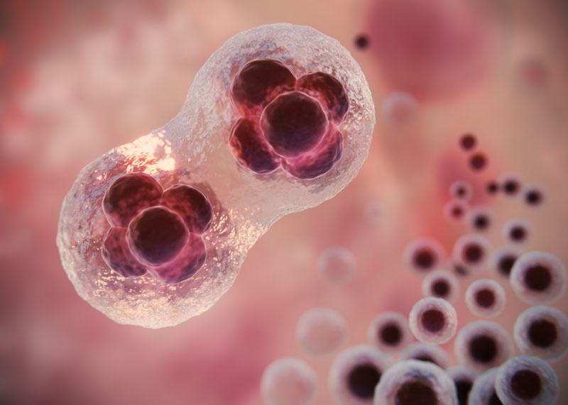 Kháng thể đơn dòng Pembrolizumab giúp thúc đẩy tái kích hoạt tế bào T, ngăn chặn khối u phát triển 