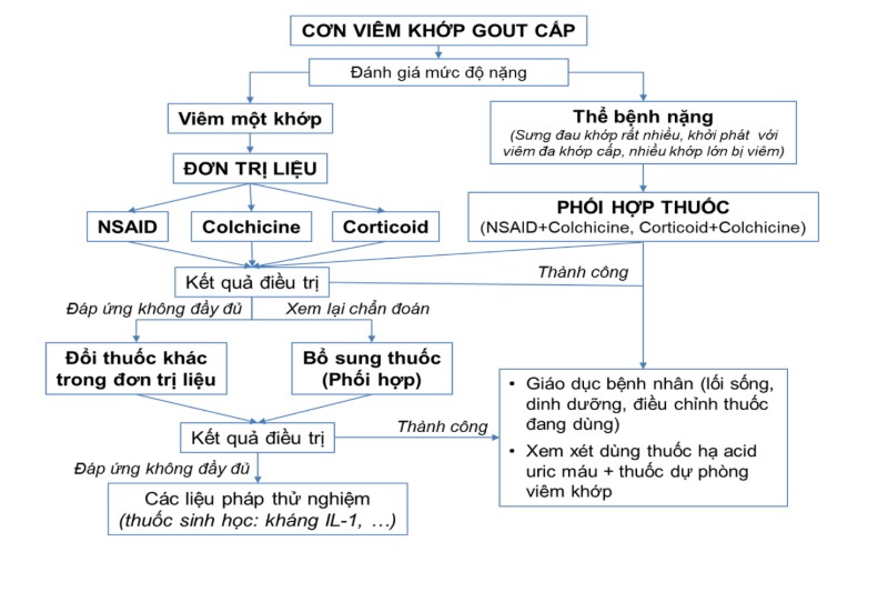 Sơ đồ điều trị bệnh Gout cấp