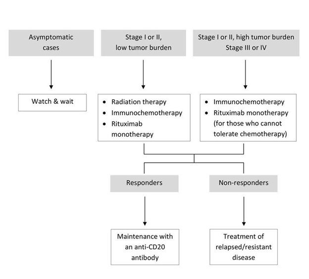 Chiến lược điều trị cho bệnh nhân ung thư dạng nang