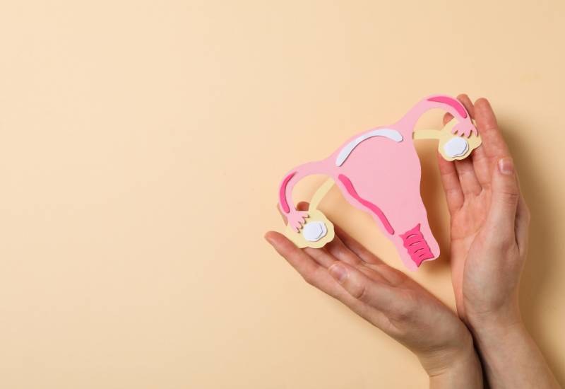 Buồng trứng nằm ở hai bên của tử cung, giữ vai trò then chốt trong hệ thống sinh sản của nữ giới