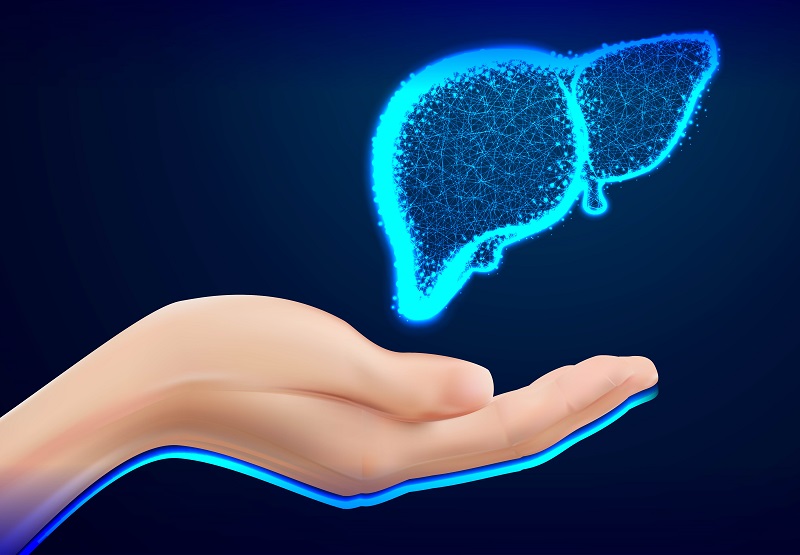 Uống nước nấu từ cây báng có thể cải thiện chức năng gan